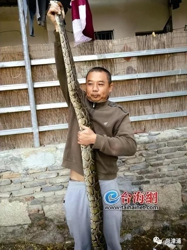 博主两天涨粉200万电话被打爆交给朋友接听开元棋牌三亚女游客被蛇咬身亡事件带火蛇类(图3)