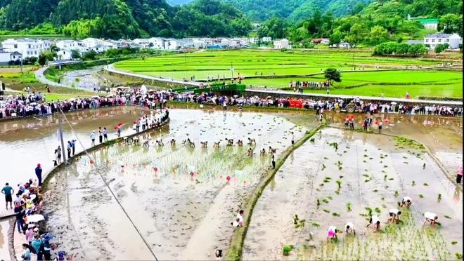 康周末游玩攻略来了！（6月4日-10日）开元棋牌网站【山水好时光 周末到安康】安(图13)