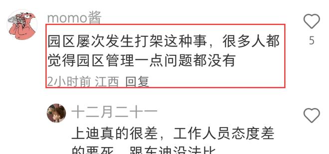 成疑！兔帽女是否打小孩成最大争议开元棋牌迪士尼情侣现身医院伤势(图13)
